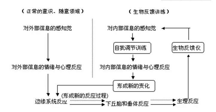 润之杰脑电生物反馈治疗仪